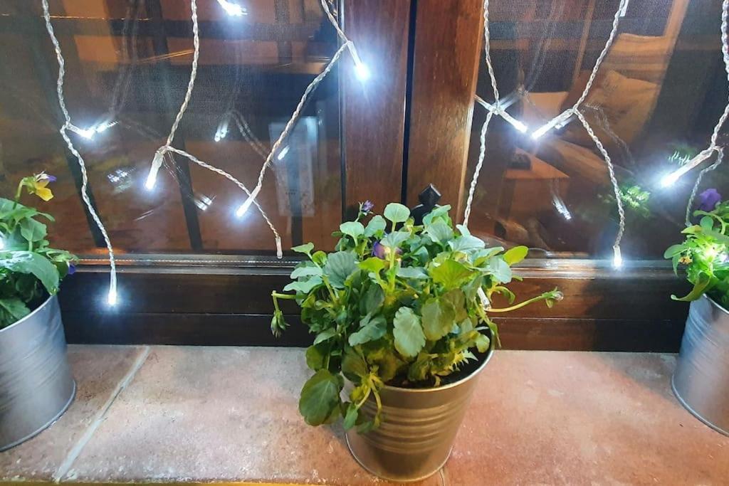 Apartamento Sefardi, Barrio Judio De Хервас Экстерьер фото